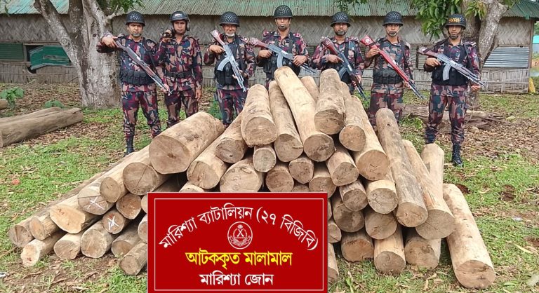 বাঘাইছড়িতে বিজিবির অভিযানে বিপুল পরিমাণ অবৈধ সেগুন কাঠ উদ্ধার