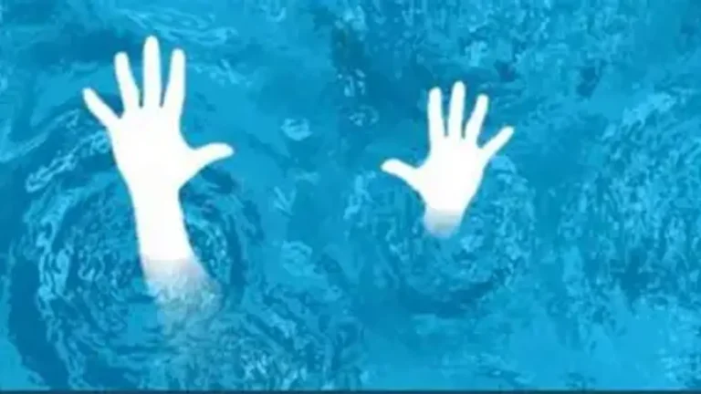 পানিতে ডুবে ২ ভাইয়ের মৃত্যু